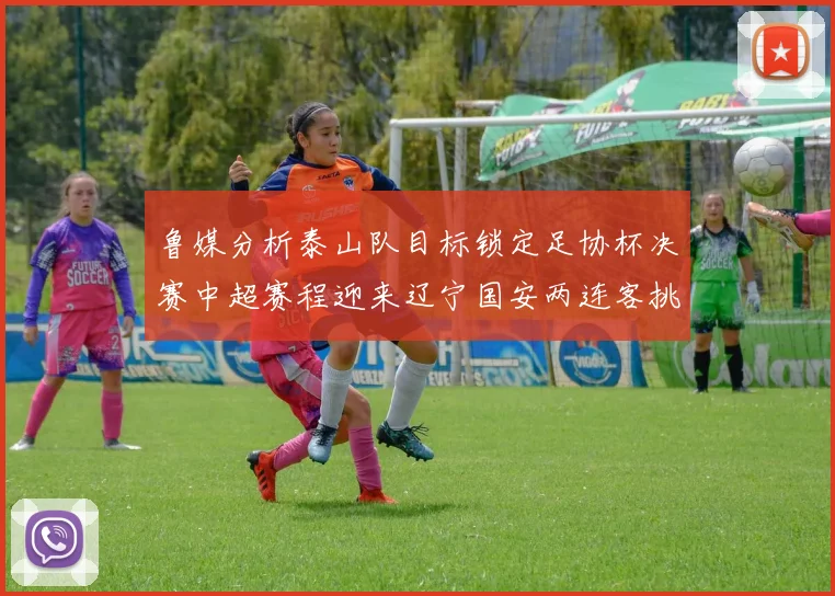 鲁媒分析泰山队目标锁定足协杯决赛中超赛程迎来辽宁国安两连客挑战